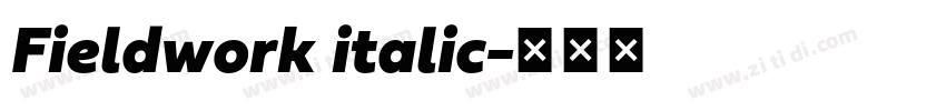 Fieldwork italic字体转换